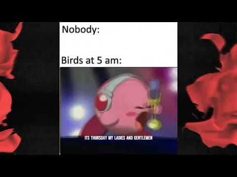 The funniest and most generic  bird meme