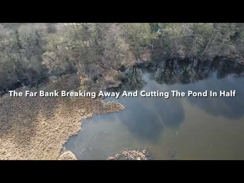 The Half Moon Pond Kirkthorpe