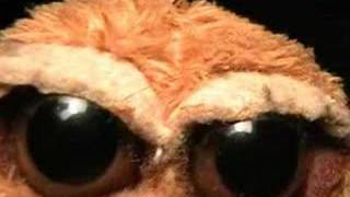 Wake up sleepy head!  - Frere Jacques