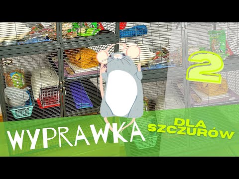 Wyprawka dla szczurów - edycja 2. 🐀🐀🐀 | Szczuromania #23