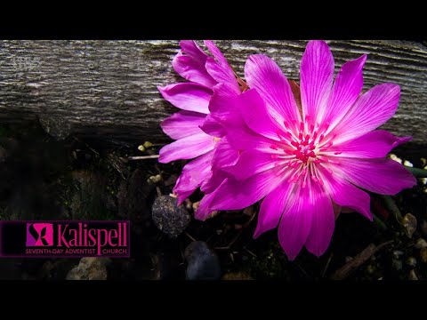 KSDA - Dennis Blum - Our Message and Our Testimony