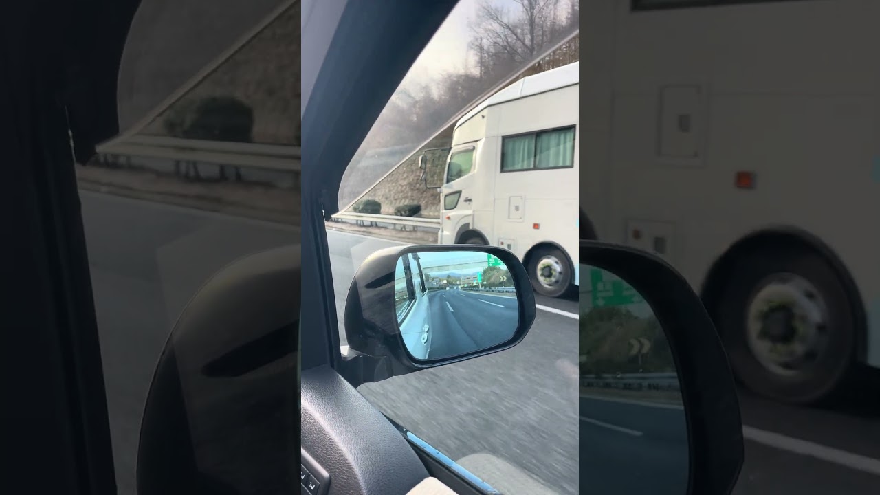 LATEST MODEL HINO HORSE TRANSPORTER 🇯🇵