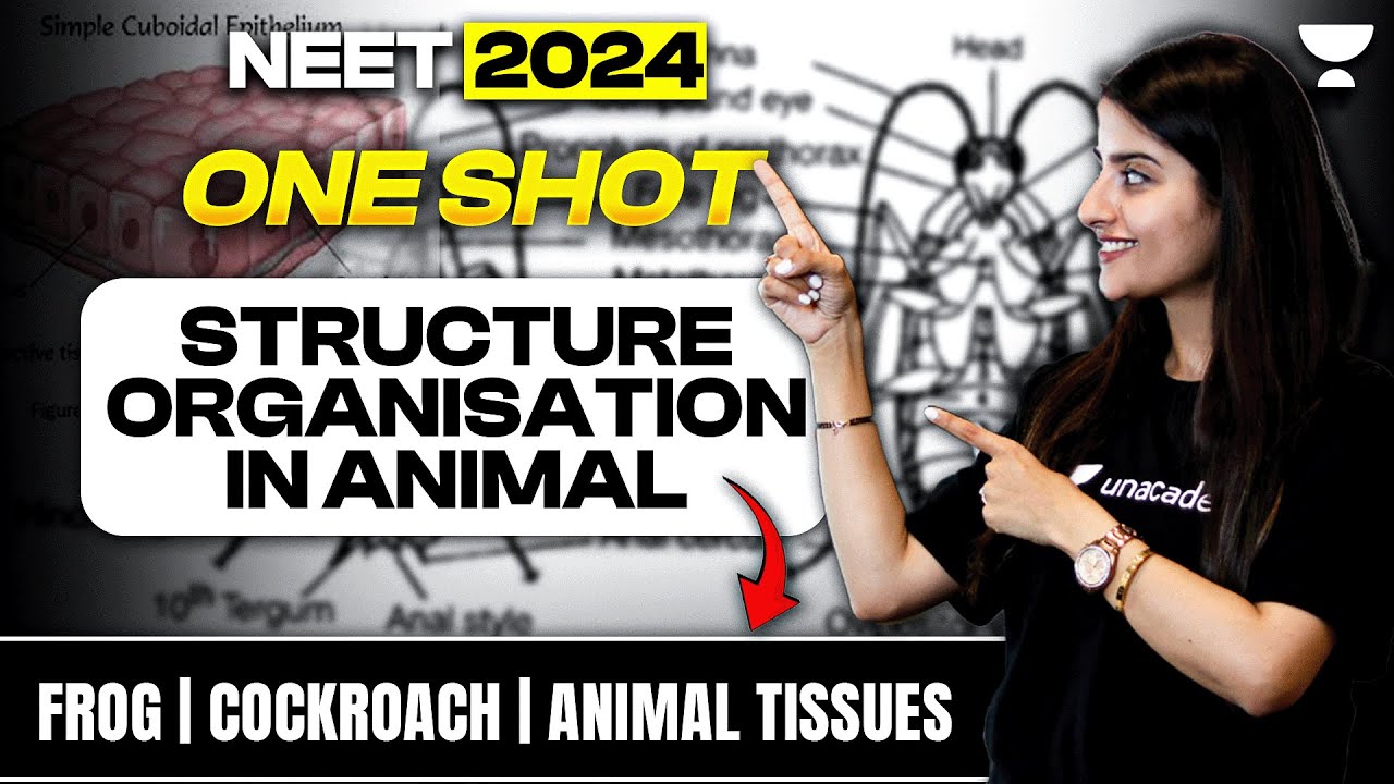 Structural Organisation in Animals | One Shot | Frog | Cockroach | NEET 2024 | Seep Pahuja