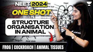 Structural Organisation in Animals | One Shot | Frog | Cockroach | NEET 2024 | Seep Pahuja