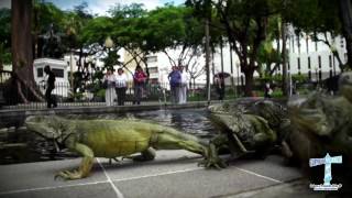 Los tradicionales hoteles de Guayaquil