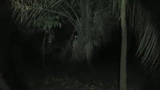 Download lagu LIVE 04 Nguber Sosok ocong - LovinaNet TV mp3