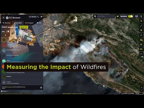 EO Browser Tutorials: Measuring the Impact of Wildfires
