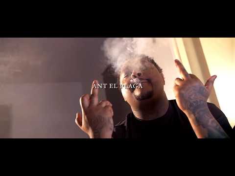 Ant El Plaga | Stuck To It | shot by @a_royal_payne