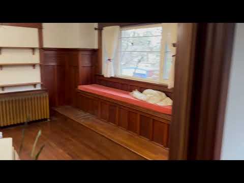 Frog clan painting group video.