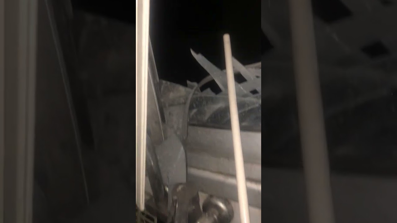 On the eve of Eid in Gaza: Our colleague was washing dishes when the strike hit a nearby building