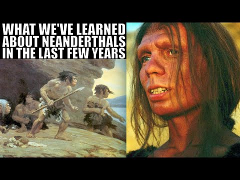 How Our Understanding of Neanderthals Changed in the Last Few Years