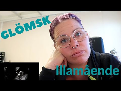 GLÖMSK OCH ILLAMÅENDE | VARDAG | VLOGG