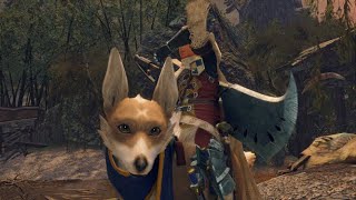 【MHRise】≪PC版≫夜のひと狩り！まったり集会場進めます！HR２６[１０]【モンスターハンターライズ】