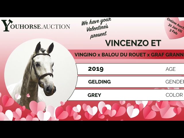Vincenzo trainingsshow