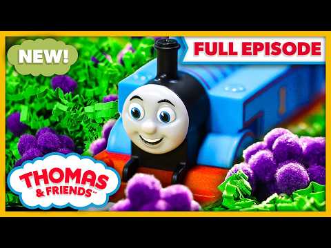 Thomas and the Blackberries | Watch Out Thomas | FULL EPISODE - Kids TV Series, Kingdom Kids Zone - Thomas & Friends