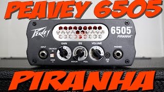 Video thumbnail for Peavey 6505 Piranha - Demo & Review by BoyntonProAudio