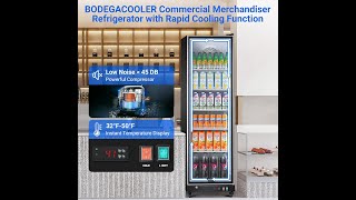 BODEGACOOLER 12.5 Cu.Ft Beverage Refrigerator Review | Best Commercial Drink Cooler?