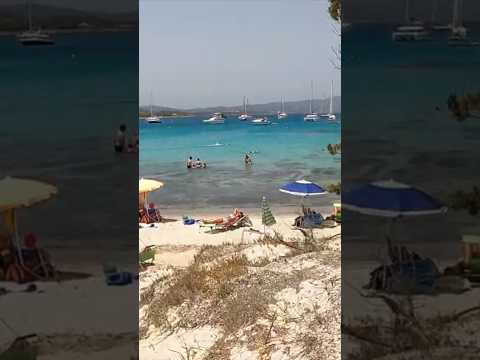 Top places to visit in Olbia ✨📌🇮🇹 Cala Sabina ✨ #shorts #summer