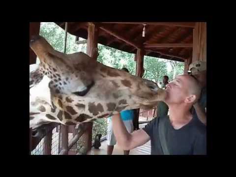 Тайный Меридиан // Secret Meridian. Expeditions with the geographer www.exotravel.ru