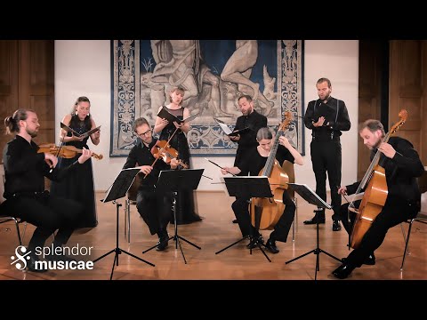 Orlando di Lasso - Ich weiß mir ein Meidlein / I know a maiden | Ensemble SPLENDOR MUSICAE