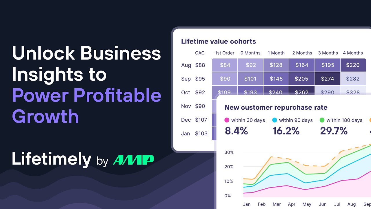 Lifetimely LTV & Profit by AMP Demo