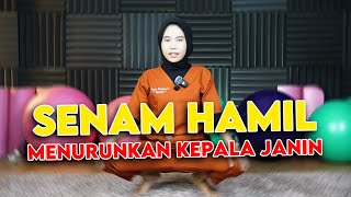 Download lagu Senam Hamil Menurunkan Kepala Janin || Bidan Novia, Amd, Keb - Medikacare mp3 Download lagu Senam Hamil Menurunkan Kepala Janin || Bidan Novia, Amd, Keb - Medikacare mp3
