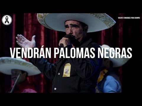 Vicente Fernández - Vendrán Palomas Negras (Letra/Lyrics)