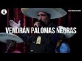 Vicente Fernández - Vendrán Palomas Negras (Letra/Lyrics)