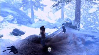 Combat in the Snow - E3 2010