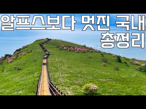 드라이브 중에 눈에 띄는 경치 TOP 5