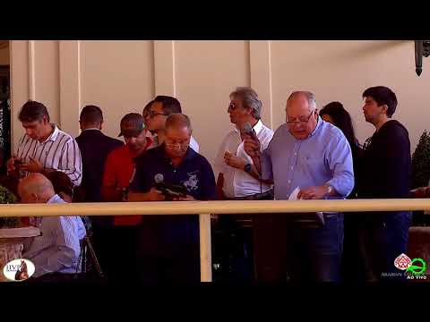 Haras HVP   Auction 2022