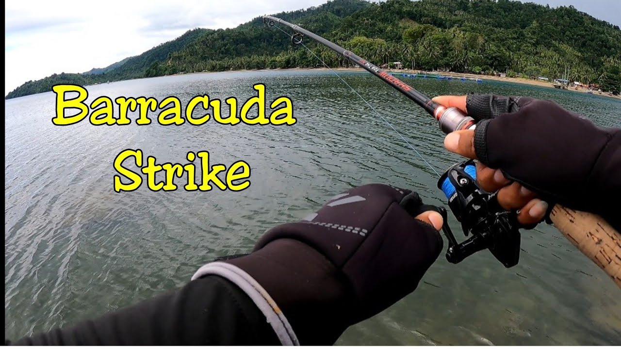 Barracuda Strike again. Saturday Fishing with Kalamansig Anglers/ML and UL Set Up