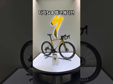 전세계 300대 한국에 19대 배정된 에스웍스 타막 SL8 렘코에디션