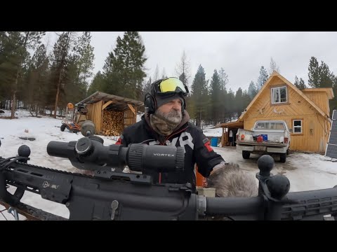 Blindstellung für Wölfe!!