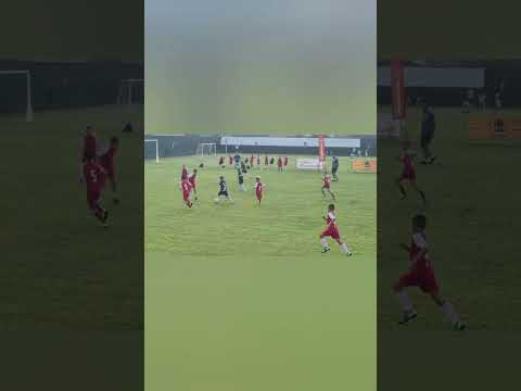 Milan Bošković FK Crvena zvezda