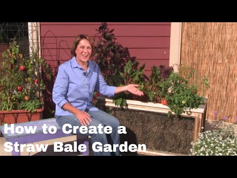 How to Create a Straw Bale Garden