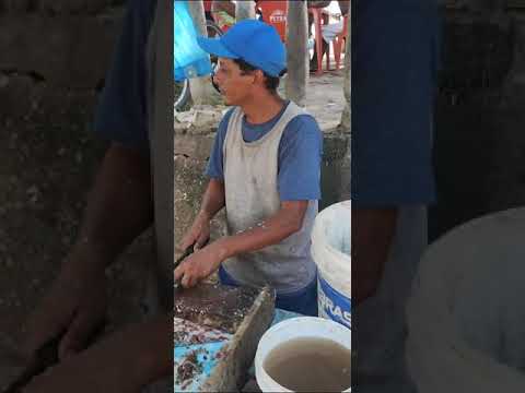 "Carioca", melhor limpador de peixe de Pindaré Mirim, Ma   Limpando Tapiaca (Branquinha)