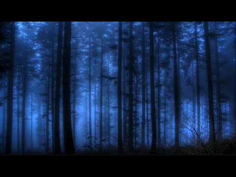 øneheart x inertia - fading lights (slowed - reverb)