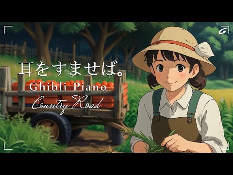 Ghibli Music Collection 2024 ???? Best Ghibli Piano Collection ???? BGM for work relax study