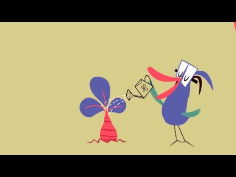 Principle 6 – Enhance capacities (animation)