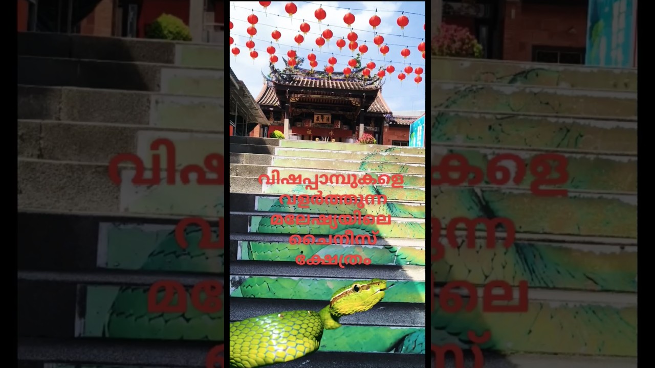 YouTube Short thumbnail