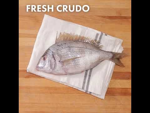 download lagu mp3 mp4 Sea Bream Crudo, download lagu Sea Bream Crudo gratis, unduh video klip Sea Bream Crudo
