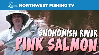 preview picture of video 'Snohomish River Pink Salmon'