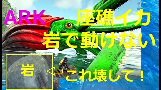 【ARK/クリスタルアイルズ】座礁イカが動けない原因は岩？！岩を壊すと掴み行動が発動！！・（付録動画、待望の高レベ・バシロのテイムにアルファ乱入）【公式レガシー/PC】