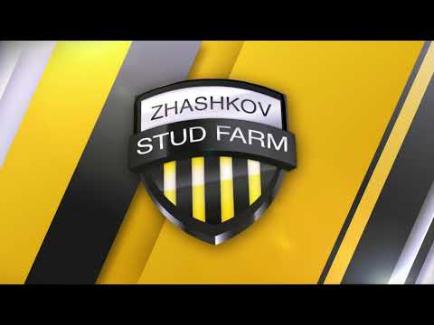 16 Cornet Obolensky Lancer III Diamant De Semilly Legretta