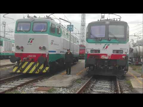 E655-409 E656-429 E655-510 E656-602 al deposito del Romito.e merci della Firenze-Roma