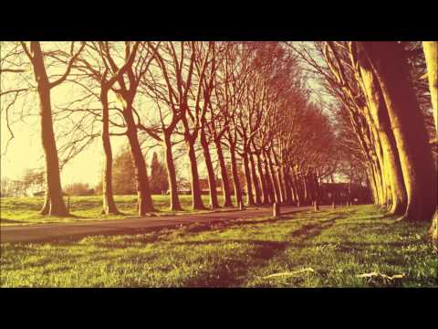 NoMosk feat. Tory Vix - Silent (Gregory Esayan Remix)