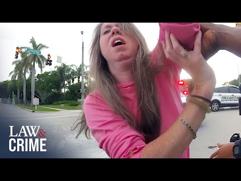 7 'Dumbest' DUI Excuses Caught on Bodycam
