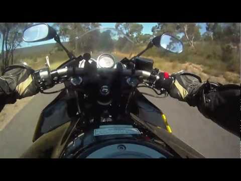 Buffalo-Freedom (Volcanic Rock) with bikes