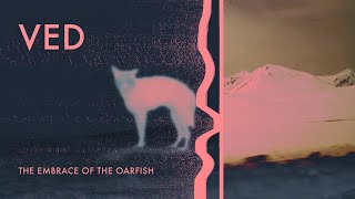 VED – “The Embrace of the Oarfish”